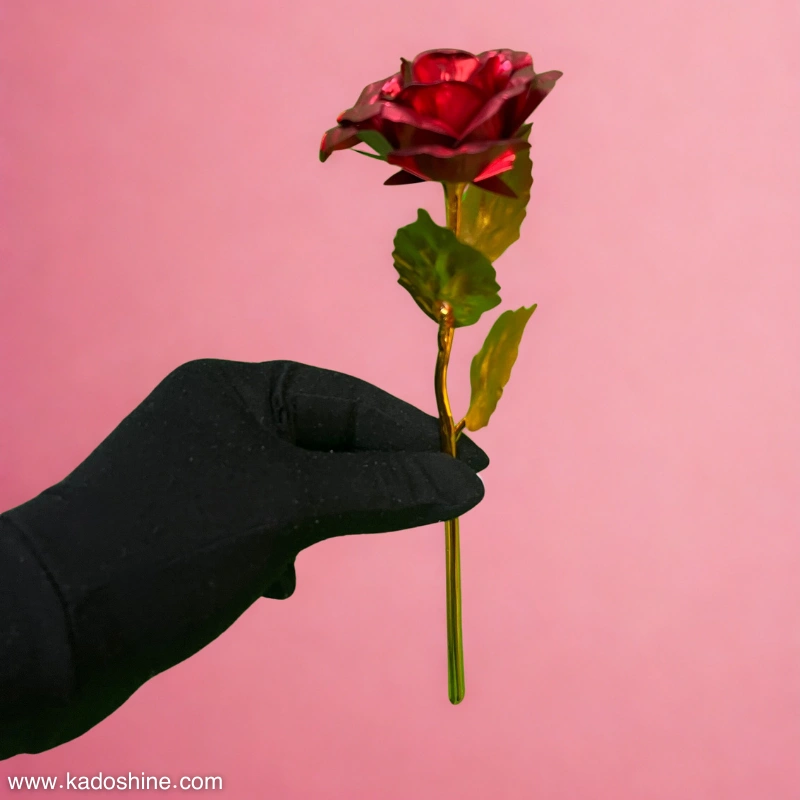 rose flower 1 گل رز طلقی 1